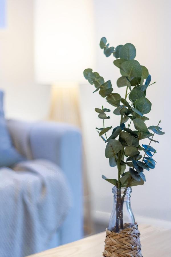 Charming Downtown Hideaway 1 Bed 1 Bath Apartment Christchurch